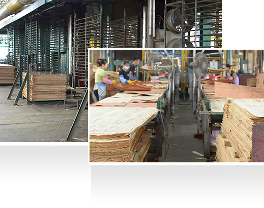 —30年耕耘，實(shí)力深厚