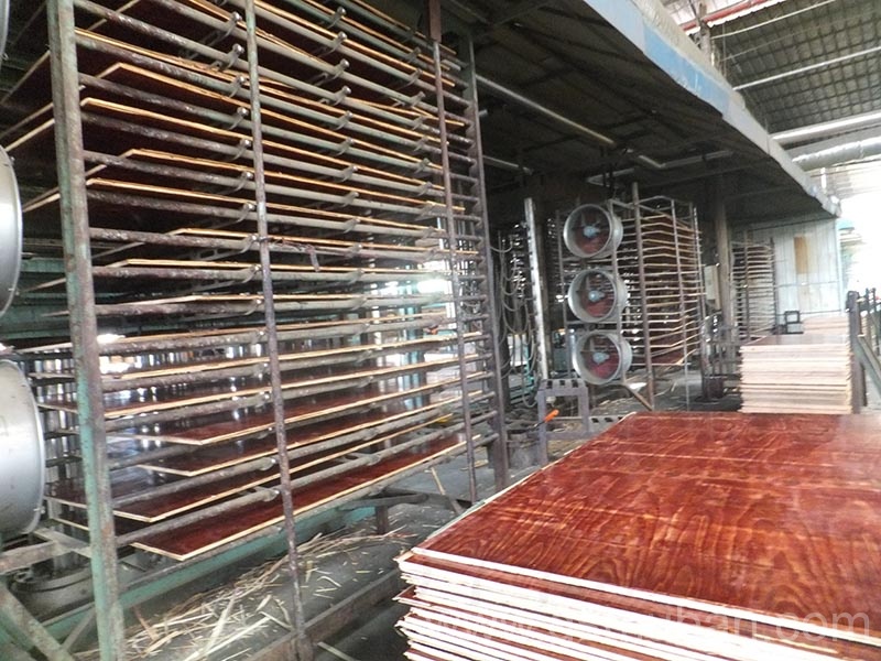 工地模板多少錢一平米?這樣選降低成本價(jià)格 工地模板多少錢一平米?這樣選降低成本價(jià)格