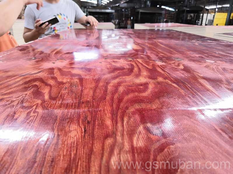 2025年建筑模板市場分析：機(jī)遇與挑戰(zhàn)并存！